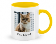 Kubek, Koci fakt #2 foto