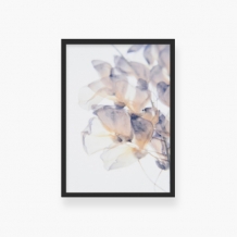 Plakat w ramce, Kwiat , 30x40 cm