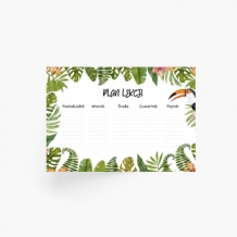 Planer, 30x20