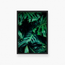 Plakat w ramce, Monstera liście - czarna ramka, 20x30 cm