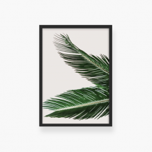 Plakat w ramce, Plakat palma- czarna ramka, 20x30 cm