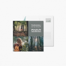 Fotokartki Pocztówka - Puszcza Białowieska, 14x14 cm