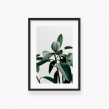 Plakat w ramce, Liście - czarna ramka, 20x30 cm