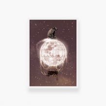 Plakat w ramce, Kolekcja dziecięca - Zaczarowany niedźwiedź - biała ramka, 20x30 cm