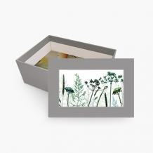 Pudełko kartonowe, Roślinne, 15x11 cm