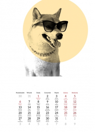 Kalendarz ścienny, Zwierzęta, 20x30 A4 cm