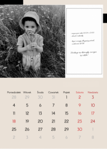 Kalendarz ścienny, Kalendarz z Twoimi notatkami, 30x40 A3 cm