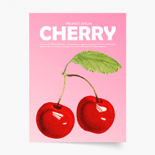 Plakat, Fruits - Cherry, 20x30 cm
