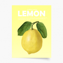 Plakat, Fruits - Lemon, 20x30 cm