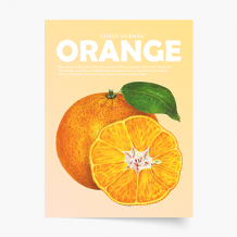 Plakat, Fruits - Orange, 20x30 cm
