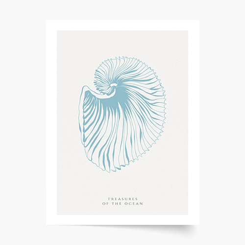 Plakat, Seashells blue, 50x70 cm