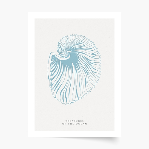 Plakat, Seashells blue, 20x30 cm