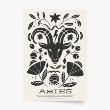 Plakat, Aries, 20x30