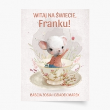 Plakat, Kolekcja Myszki - Witaj na świecie!, 30x40