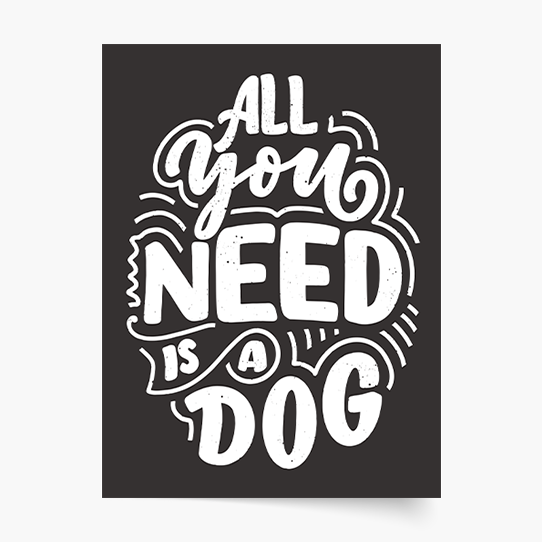 Plakat, Pieski: All you need is dog, 30x40