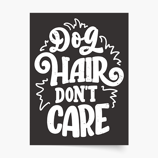 Plakat, Pieski: Dog hair don't care, 20x30 cm
