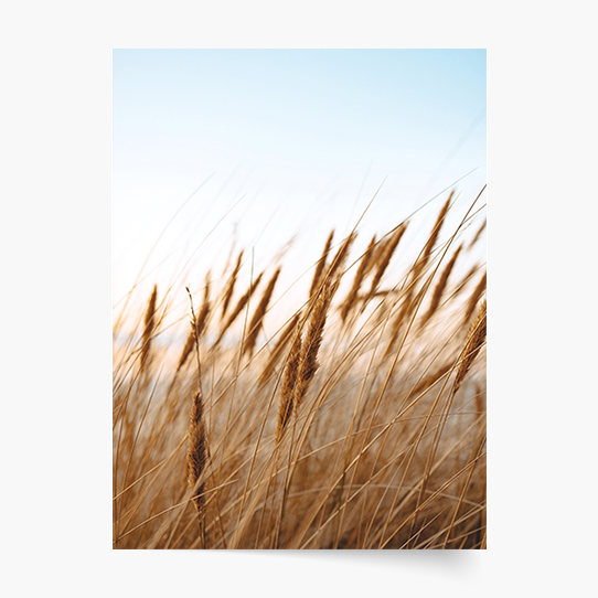 Plakat, Boho 3, 30x40