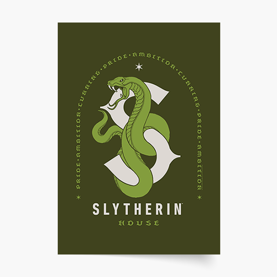 Plakat, Harry Potter Domy: Slytherin, 20x30