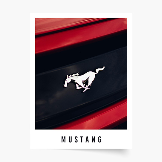 Plakat, Samochody: Mustang, 21x30