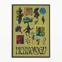 Plakat, Harry Potter: Herbology, 20x30