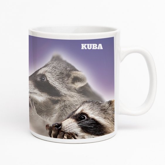 Kubek, Racoons