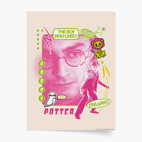 Plakat, Harry Potter: Harry - Expelliarmus, 20x30