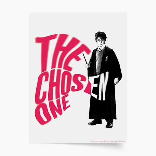 Plakat, Harry Potter: The chosen one, 20x30