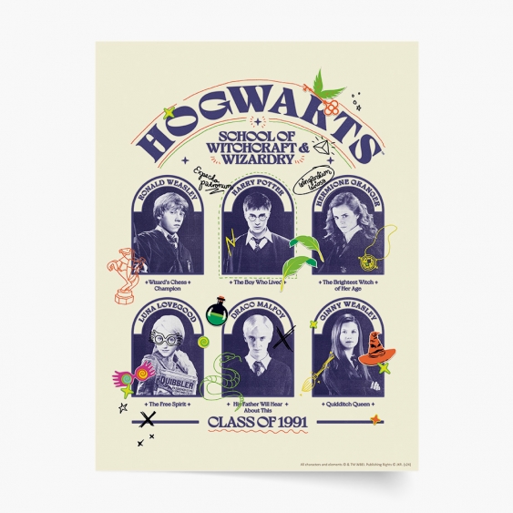 Plakat, Harry Potter: Hogwarts class of 1991, 20x30