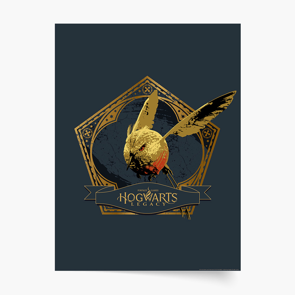 Plakat, Harry Potter: Hogwarts Legacy, 50x70