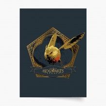 Plakat, Harry Potter: Hogwarts Legacy, 20x30