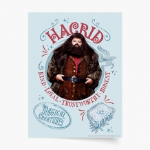 Plakat, Harry Potter: Hagrid, 20x30