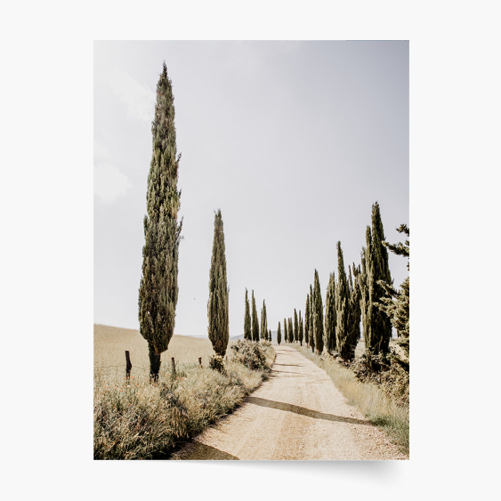 Plakat, Summer 4, 30x40