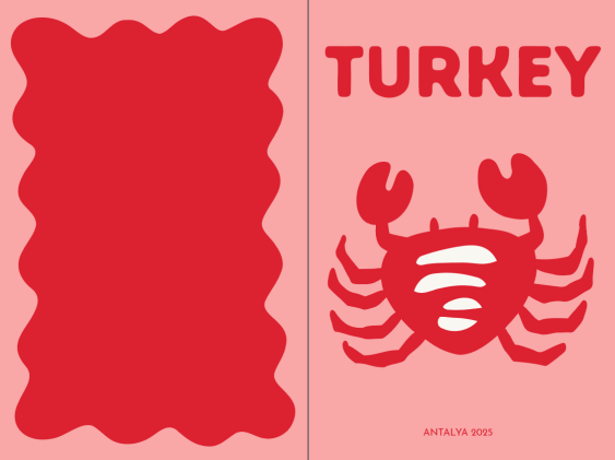 Turkey fotoksiążka, 20x30 cm