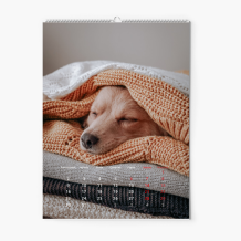 Kalendarz ścienny, Ten rok, 30x40-A3 cm