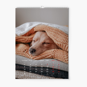 Kalendarz ścienny, Ten rok, 30x40-A3 cm