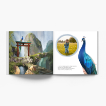 Przygoda pandy - dziewczynka fotoksiążka, 20x20 cm