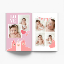 Lamorożce fotoksiążka, 20x30 cm