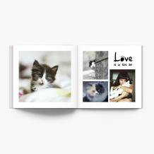 Nasz kot  fotoksiążka, 20x20 cm