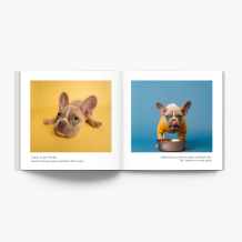 Album psiaka fotoksiążka, 20x20 cm