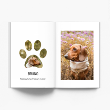 Moje zwierzaki fotoksiążka, 20x30 cm