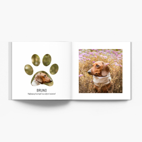 Moje zwierzaki fotoksiążka, 20x20 cm