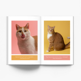 Album kociaka fotoksiążka, 20x30 cm