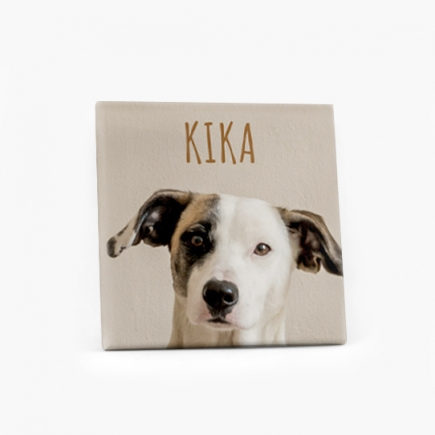 Obraz, Dla Psiej Mamy, 30x30 cm