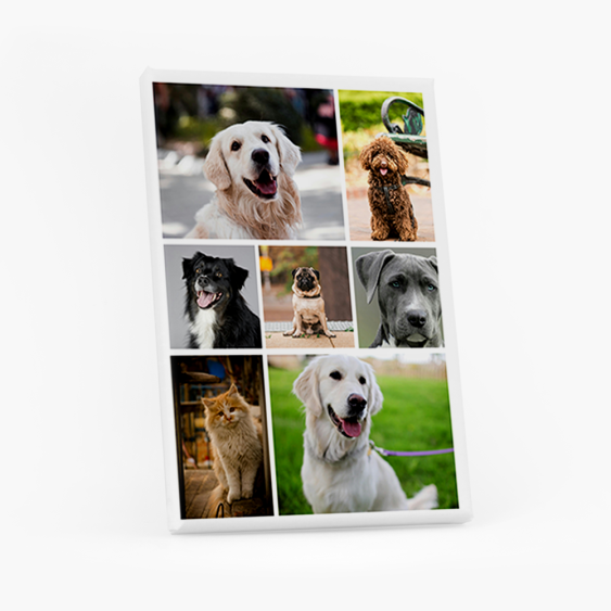 Obraz, Kolaż 7 zdjęć, 20x30 cm