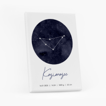 Obraz, Znaki zodiaku, 20x30 cm