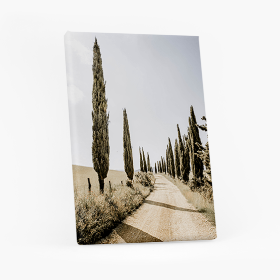 Obraz, Wakacyjny, 20x30 cm