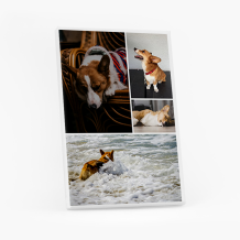 Obraz, Mój pupil, 20x30 cm