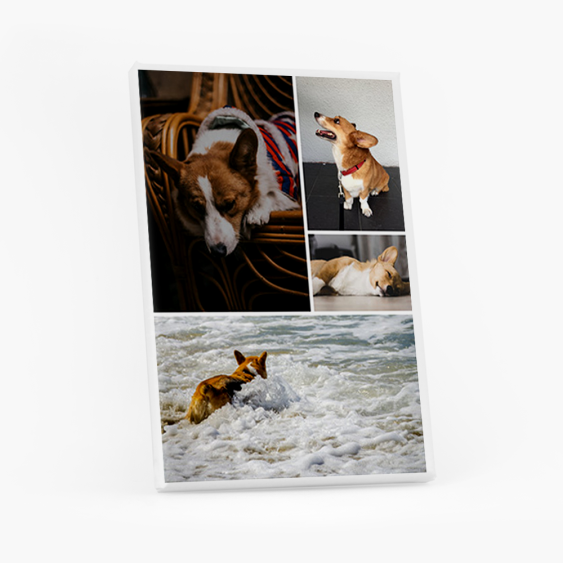 Obraz, Mój pupil, 20x30 cm