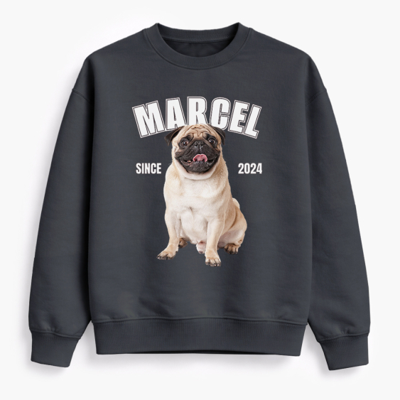 Bluza My pet