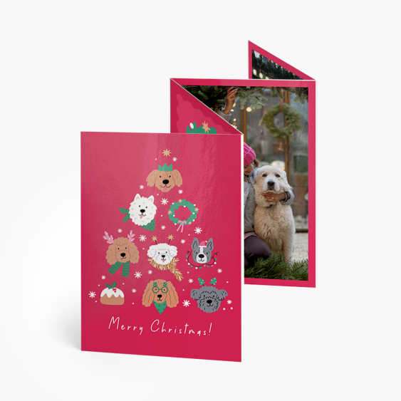 Harmonijka ze zdjęć, Joyful Time Dog